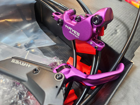 Hayes dominion a4 limited edition purple-front and rear