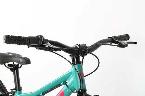 Haro Bikes Kids Flightline 20" Green