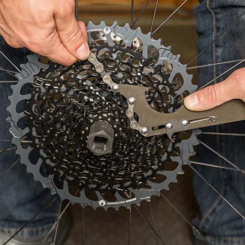 Pro Chain Whip II Pedro's