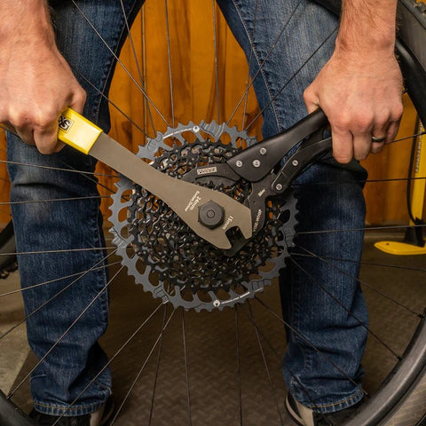 Vise Whip II Pedro's