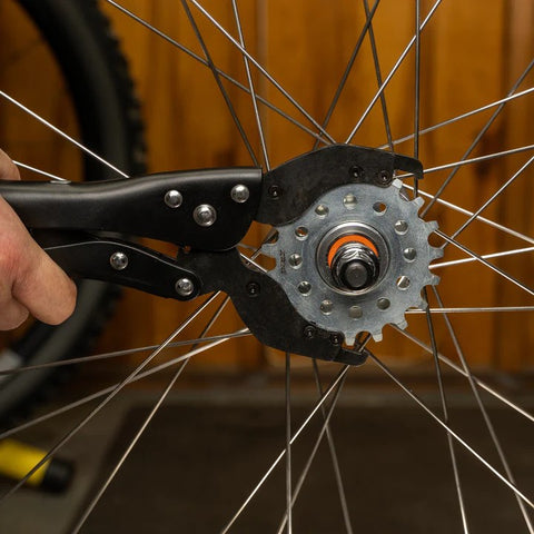 Vise Whip II Pedro's