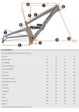 DH Frame Orange Bikes 327 FRAME ONLY GREY Large