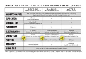 Hydration Fuel Ryno Power Fruit Punch 900g