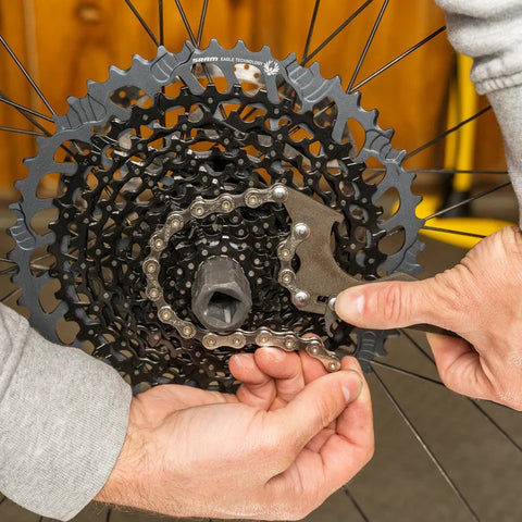 Pro Chain Whip II Pedro's