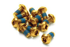 Disc Rotor Bolt Set 12 pcs. Bicycle Gold